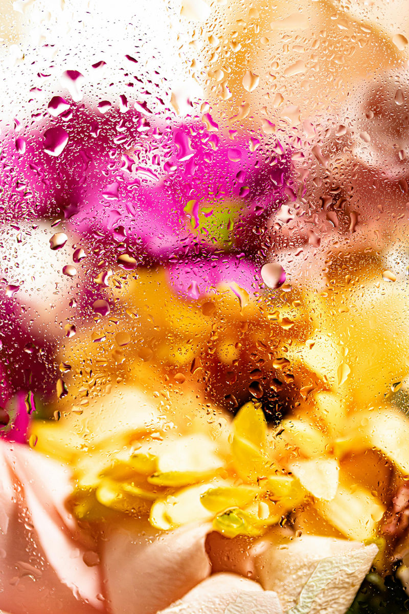 Esta imagen captura una composición vibrante y artística donde la belleza de las flores se ve a través de una superficie cubierta de gotas de agua. Los tonos cálidos de amarillo, dorado y rosa se mezclan con matices de fucsia y verde, creando una sensación de frescura y vitalidad.  Las gotas de agua en primer plano aportan textura y profundidad a la imagen, generando un efecto visual casi etéreo, como si se tratara de un sueño floral envuelto en humedad. La difuminación sutil de los pétalos y el juego de luces hacen que la escena evoque pureza, renovación y la frescura de la naturaleza en su máxima expresión.  Es una imagen que transmite la esencia del cuidado y la hidratación, perfecta para evocar sensaciones de bienestar, suavidad y frescura en el mundo de la cosmética y el cuidado de la piel.